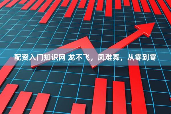 配资入门知识网 龙不飞，凤难舞，从零到零